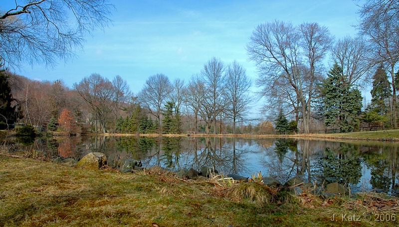 Pond landscape 